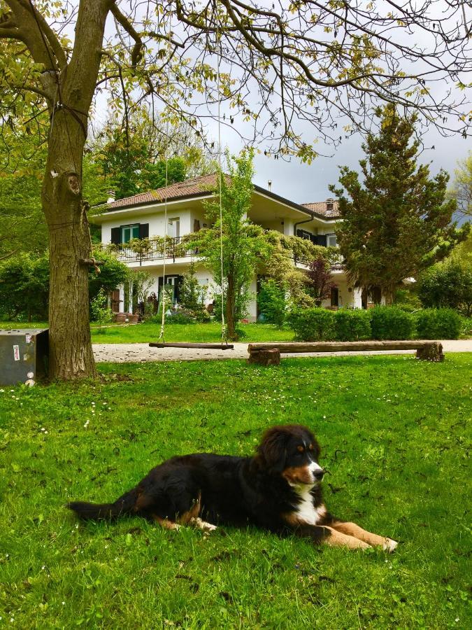 B&B La Libellula Castelnuovo Nigra ภายนอก รูปภาพ